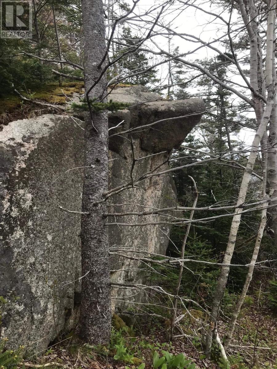 1618 Terence Bay Road, Terence Bay, Nova Scotia  B3T 1X8 - Photo 13 - 202503669