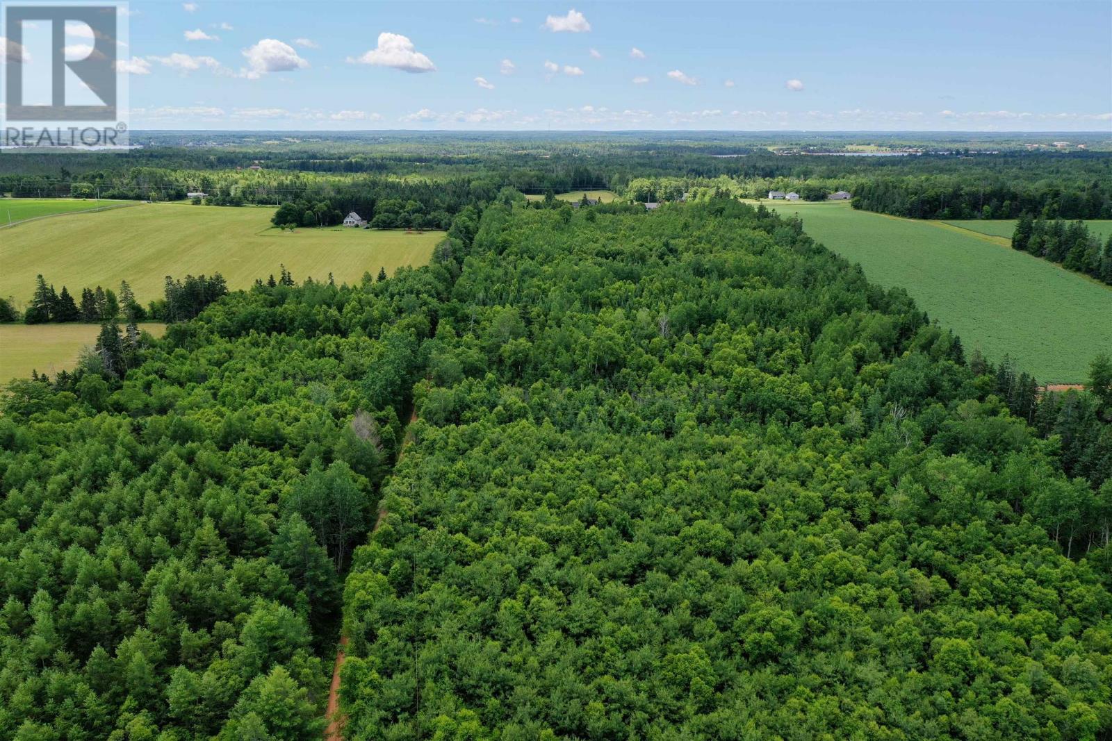 Acreage Birch Lane, Georgetown Royalty, Prince Edward Island  C0A 1L0 - Photo 14 - 202503670