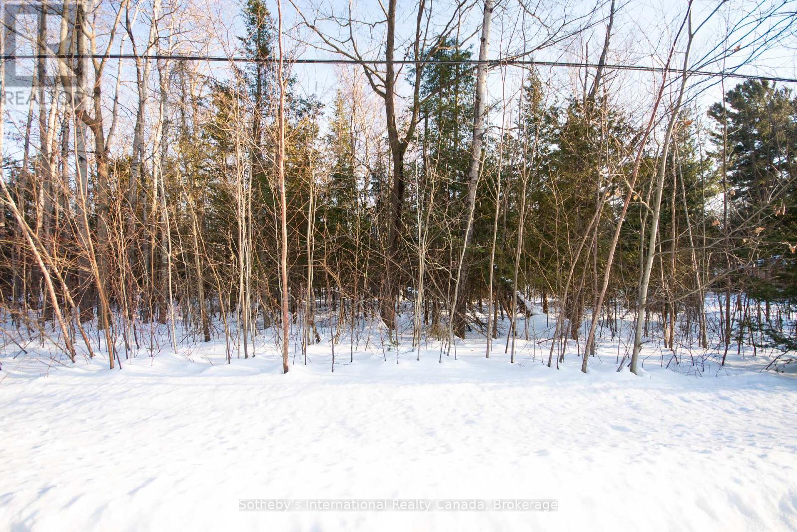 Lot 4 Spruce Street, Tiny, Ontario  L0L 1P0 - Photo 2 - S11990831