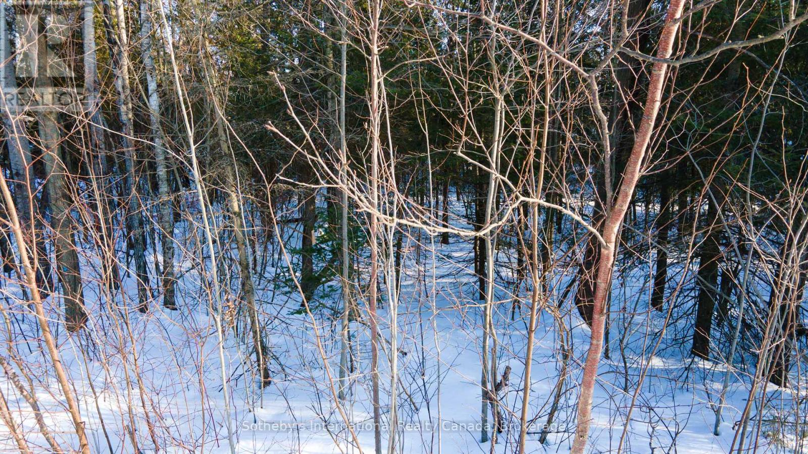 Lot 4 Spruce Street, Tiny, Ontario  L0L 1P0 - Photo 3 - S11990831