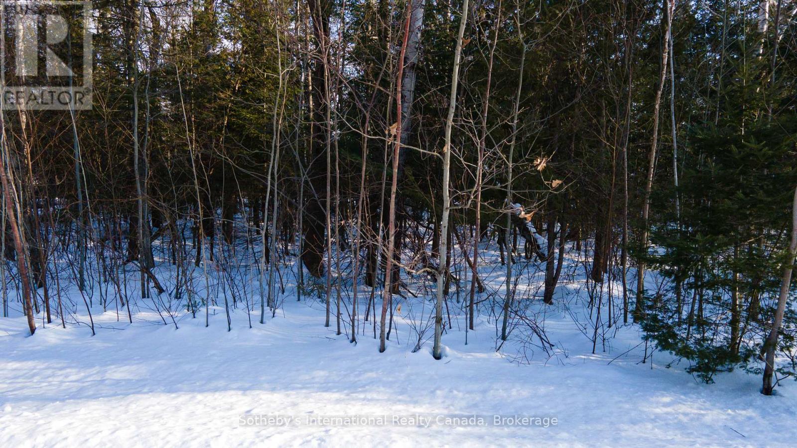 Lot 4 Spruce Street, Tiny, Ontario  L0L 1P0 - Photo 4 - S11990831