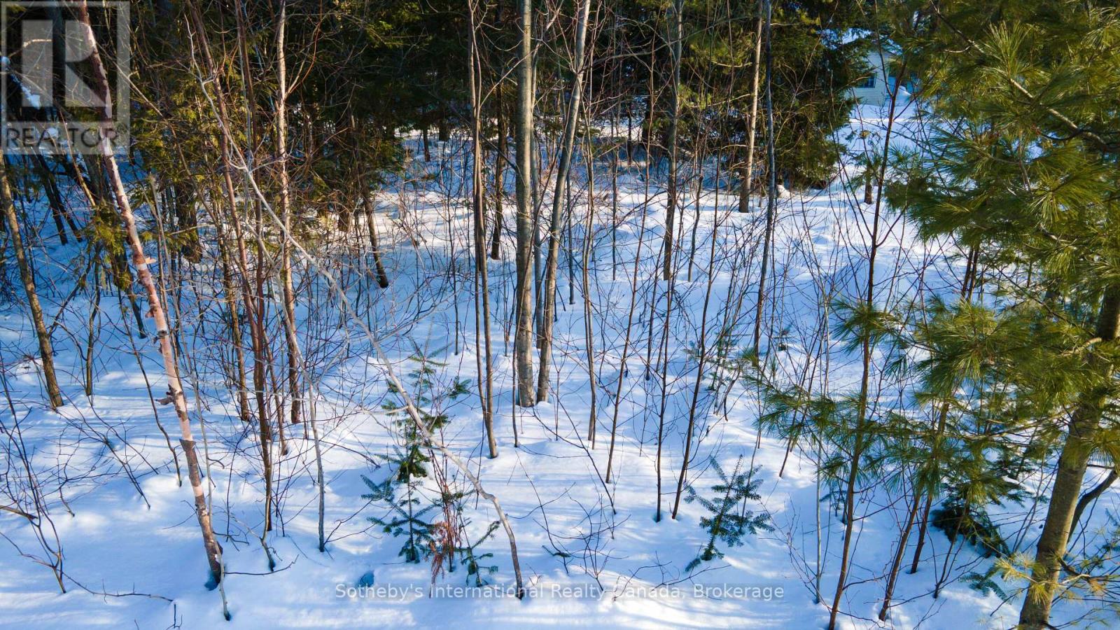 Lot 4 Spruce Street, Tiny, Ontario  L0L 1P0 - Photo 7 - S11990831
