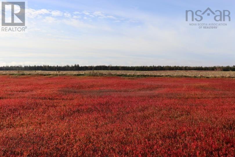 5 Duck Pond Road, Five Houses, Nova Scotia  B0M 1B0 - Photo 35 - 202501355
