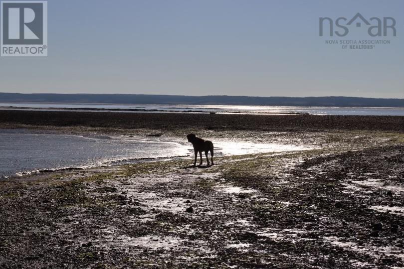 5 Duck Pond Road, Five Houses, Nova Scotia  B0M 1B0 - Photo 4 - 202501355