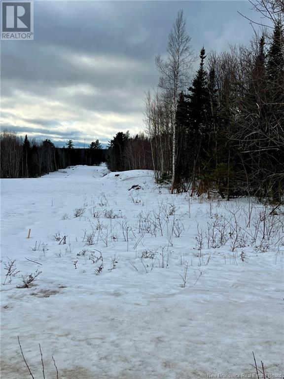 Vacant Lot Route 640, Yoho, New Brunswick  E6K 0B2 - Photo 3 - NB113228