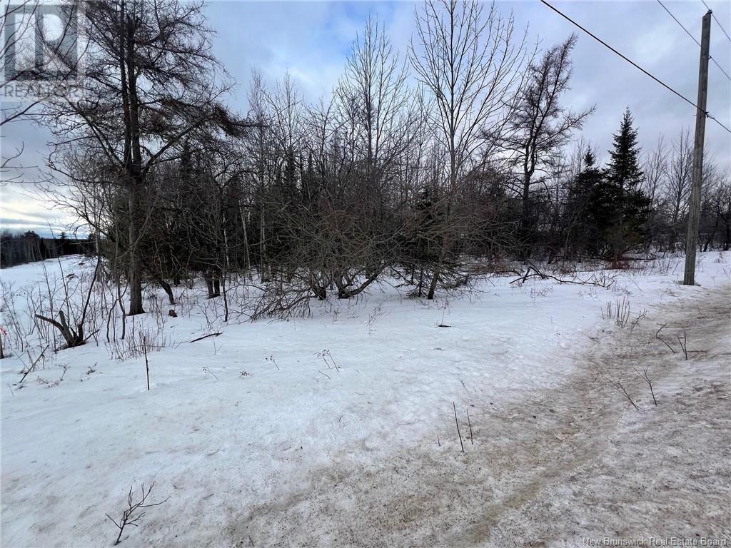 Vacant Lot Route 640, Yoho, New Brunswick  E6K 0B2 - Photo 4 - NB113228