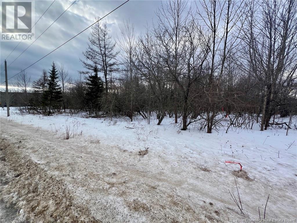Vacant Lot Route 640, Yoho, New Brunswick  E6K 0B2 - Photo 6 - NB113228
