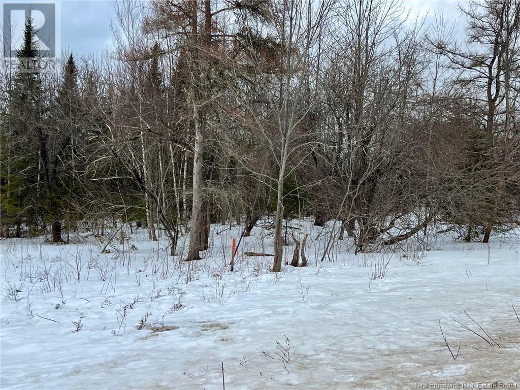 Vacant Lot Route 640, Yoho, New Brunswick  E6K 0B2 - Photo 8 - NB113228