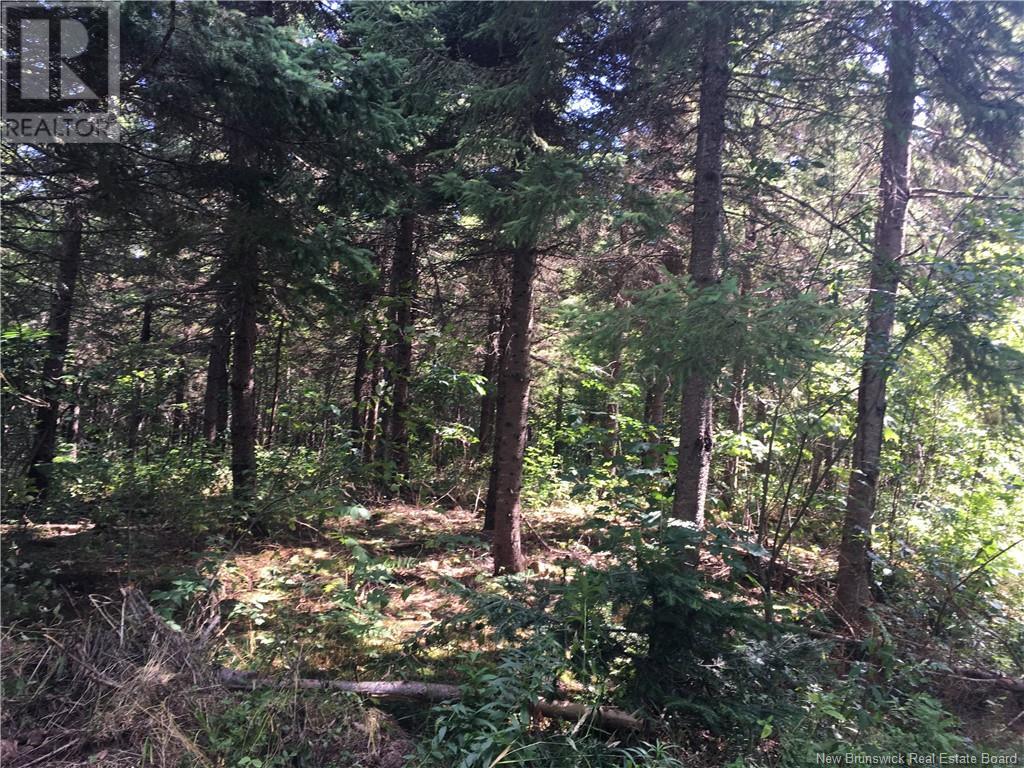 6629 Highway 15, Woodside, New Brunswick