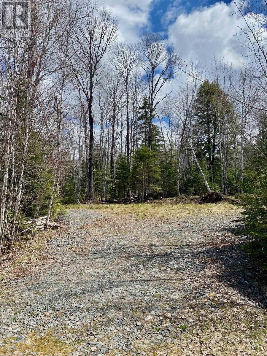 Lot 8 Loch Broom, Loch Broom, Nova Scotia  B0K 1H0 - Photo 8 - 202503728