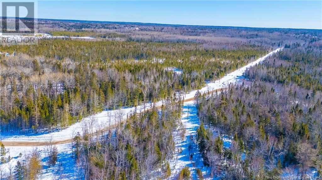 Lot Du Boom Road, Bertrand, New Brunswick  E1W 1M5 - Photo 5 - NB111185