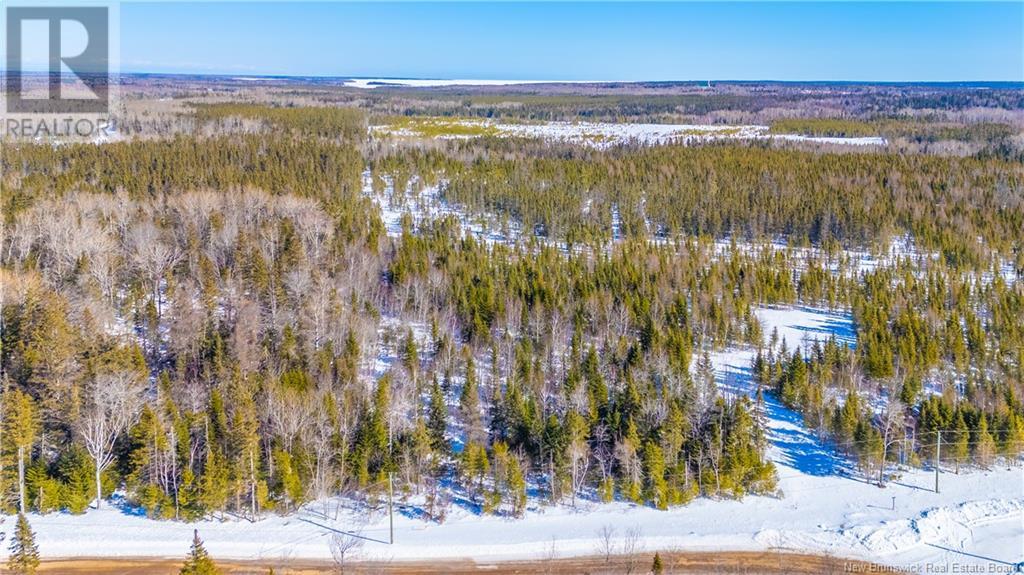 Lot Du Boom Road, Bertrand, New Brunswick  E1W 1M5 - Photo 4 - NB111185