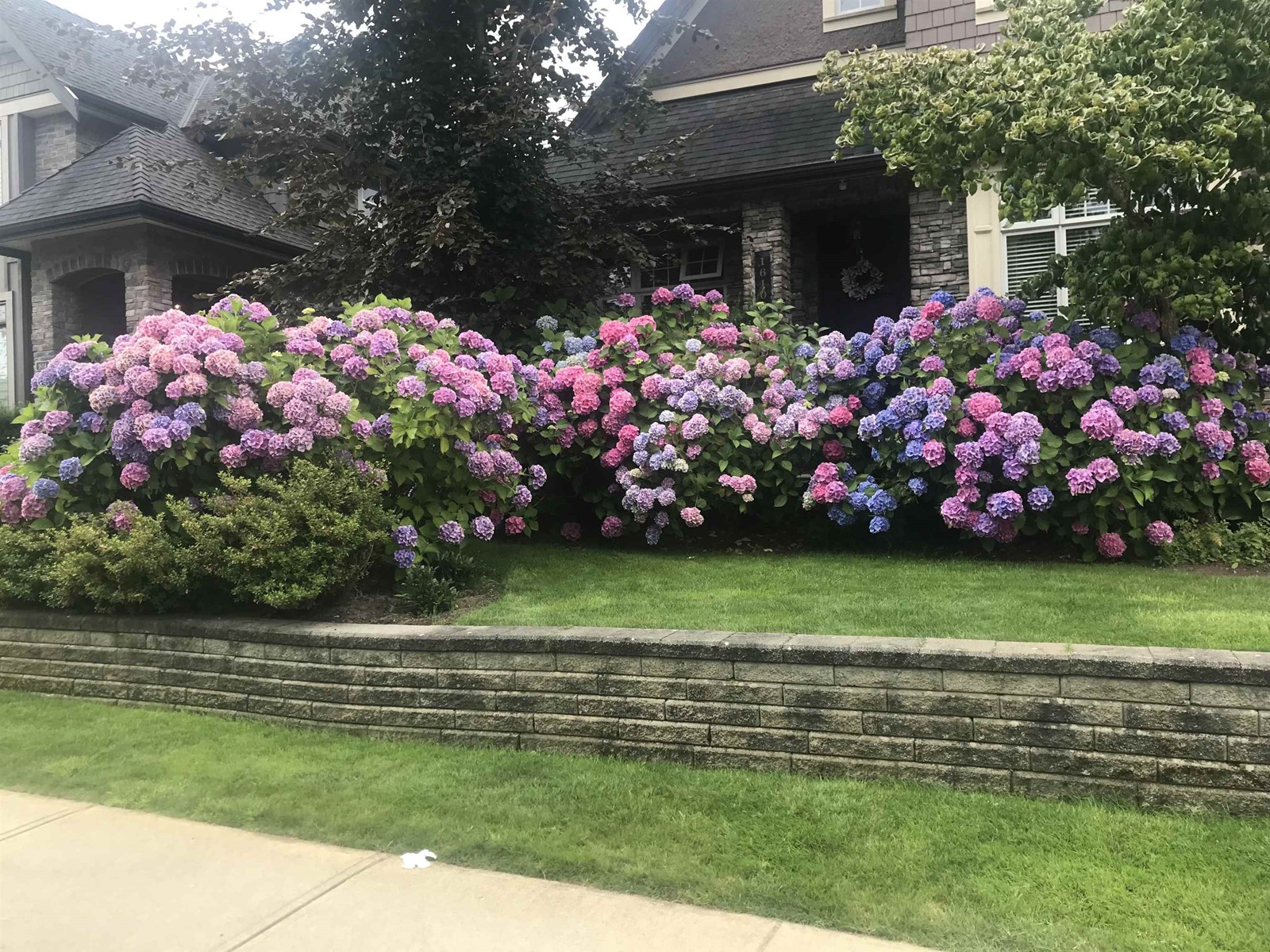 Property at 16108 27A AVENUE image 2
