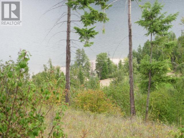 200 Lower Arrow Lake, Castlegar, British Columbia  V1N 4H8 - Photo 15 - 10336331
