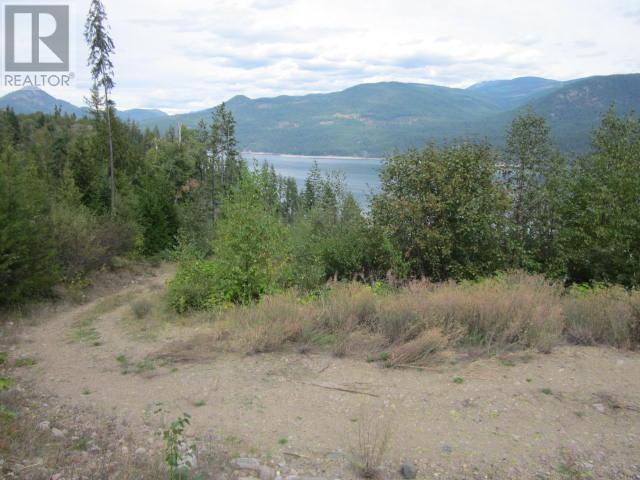 200 Lower Arrow Lake, Castlegar, British Columbia  V1N 4H8 - Photo 4 - 10336331