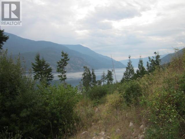 200 Lower Arrow Lake, Castlegar, British Columbia  V1N 4H8 - Photo 3 - 10336331