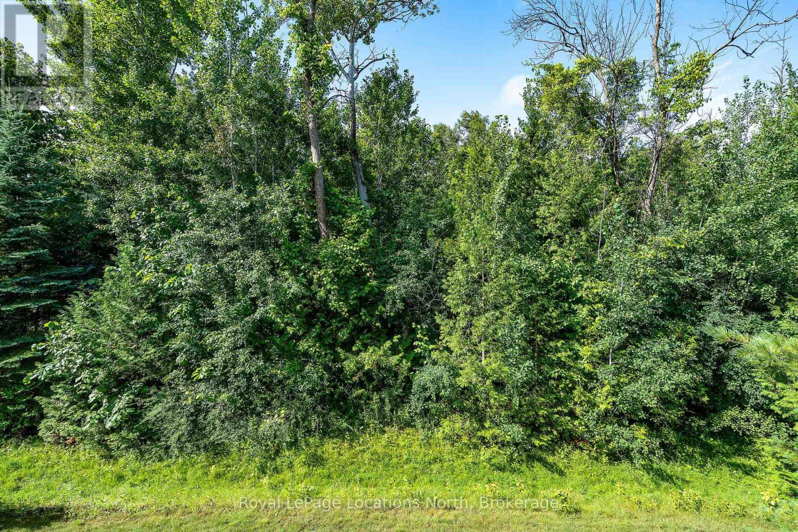 202 - 4 Brandy Lane Drive, Collingwood, Ontario  L9Y 0X4 - Photo 31 - S11992697