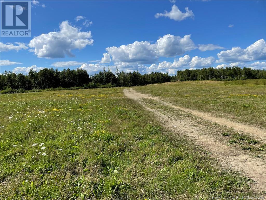 Lot Centreville Road, Florenceville-Bristol, New Brunswick  E7L 3K5 - Photo 11 - NB113170