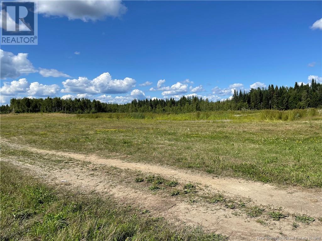 Lot Centreville Road, Florenceville-Bristol, New Brunswick  E7L 3K5 - Photo 12 - NB113170