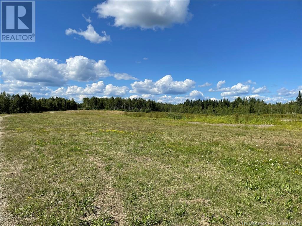 Lot Centreville Road, Florenceville-Bristol, New Brunswick  E7L 3K5 - Photo 13 - NB113170