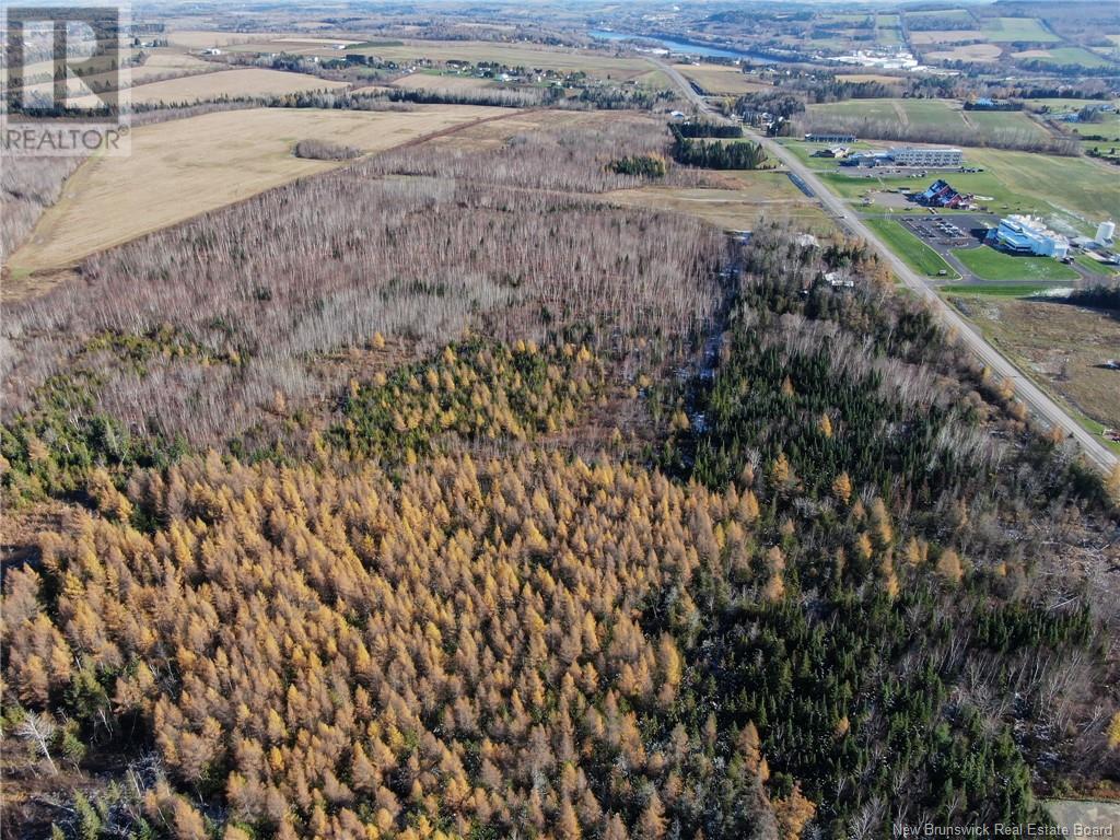 Lot Centreville Road, Florenceville-Bristol, New Brunswick  E7L 3K5 - Photo 7 - NB113170