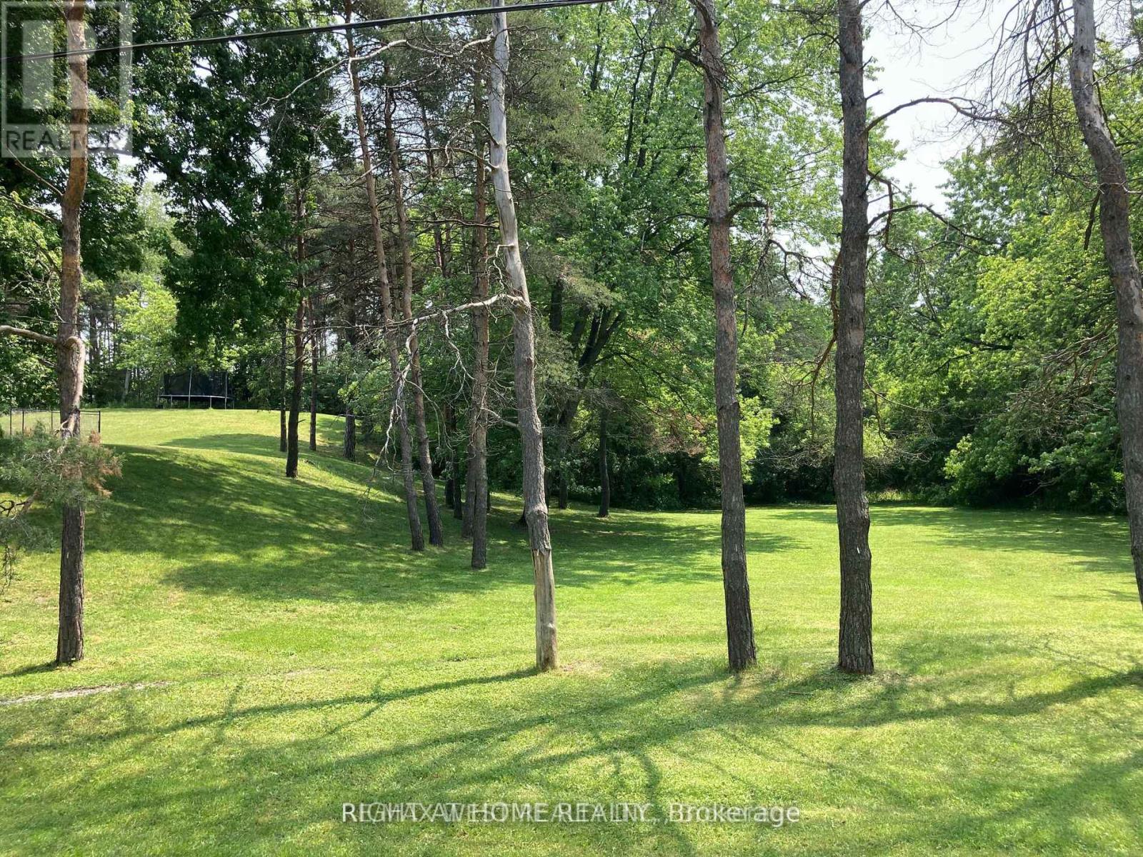 125 Ridge Road, Aurora, Ontario  L4G 0M3 - Photo 25 - N11992284