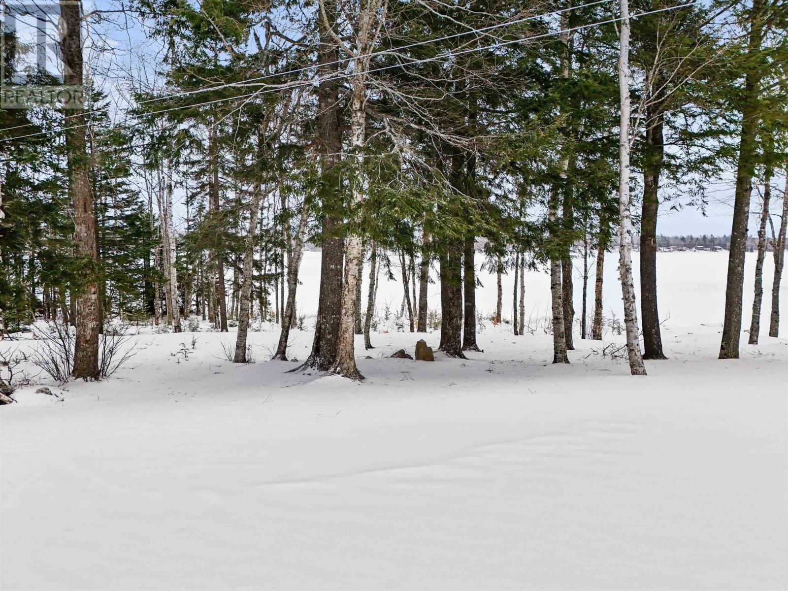 300 Lakeside Drive, Springfield, Nova Scotia  B0R 1H0 - Photo 37 - 202503786