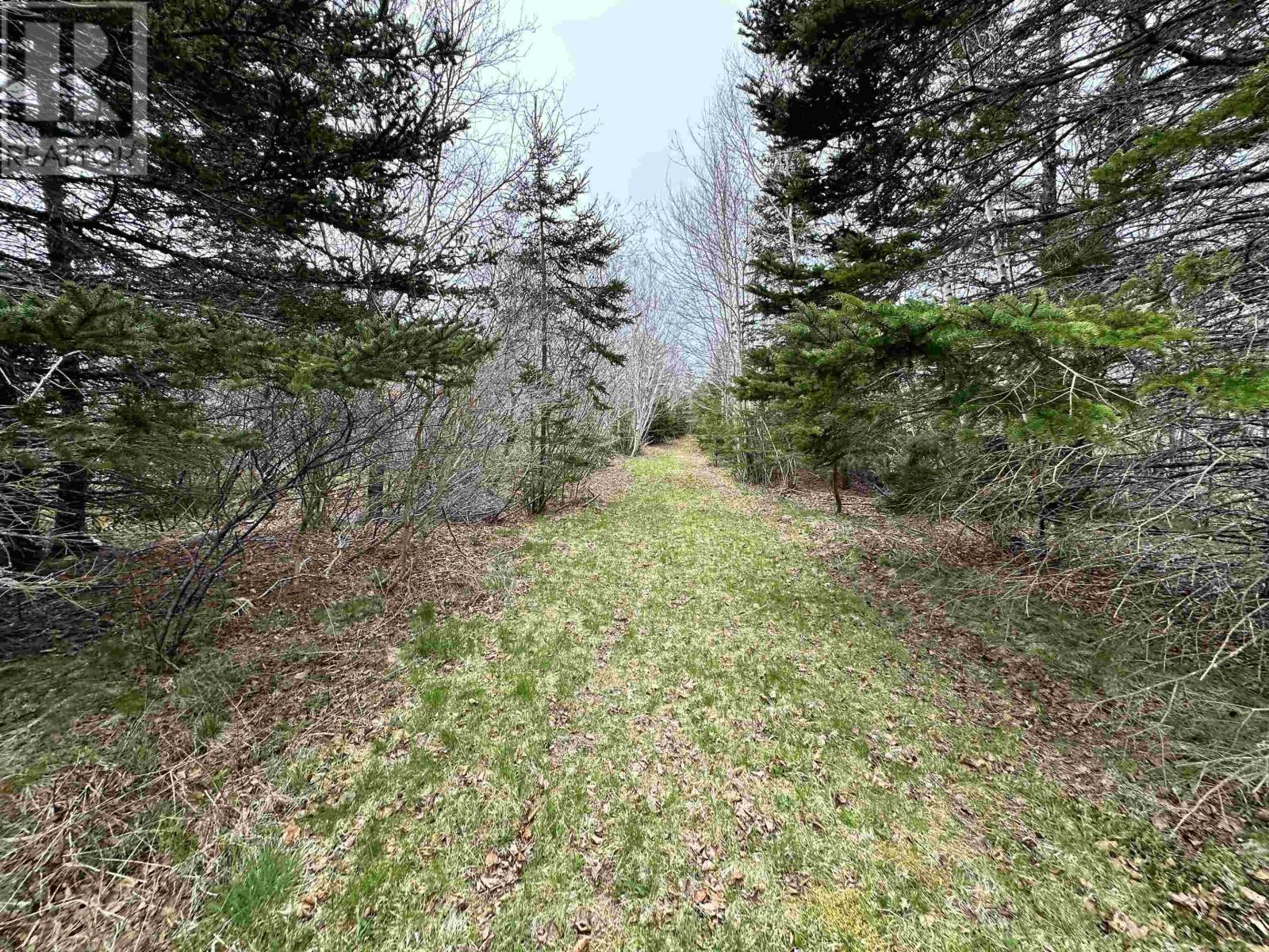 Lot Rem2a Beveridge Road, Melbourne, Nova Scotia  B0W 1B0 - Photo 6 - 202503783