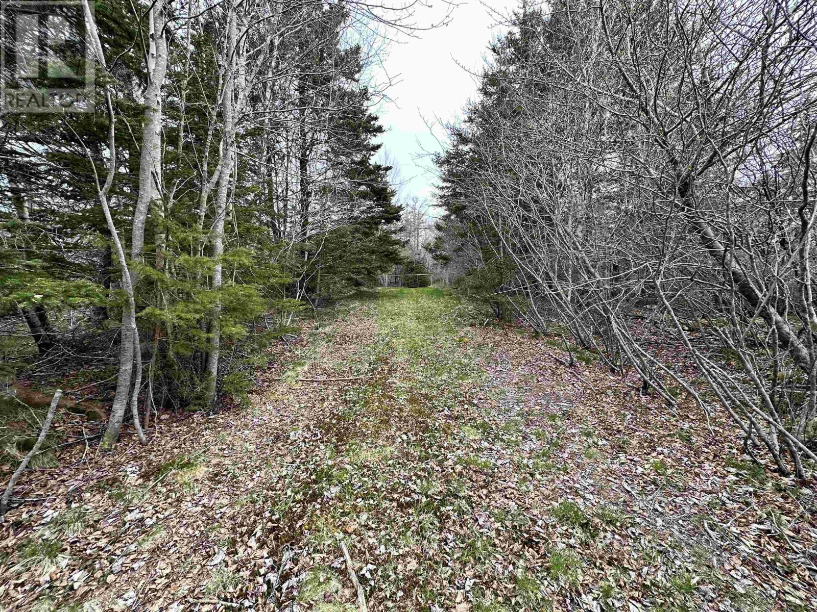 Lot Rem2a Beveridge Road, Melbourne, Nova Scotia  B0W 1B0 - Photo 7 - 202503783