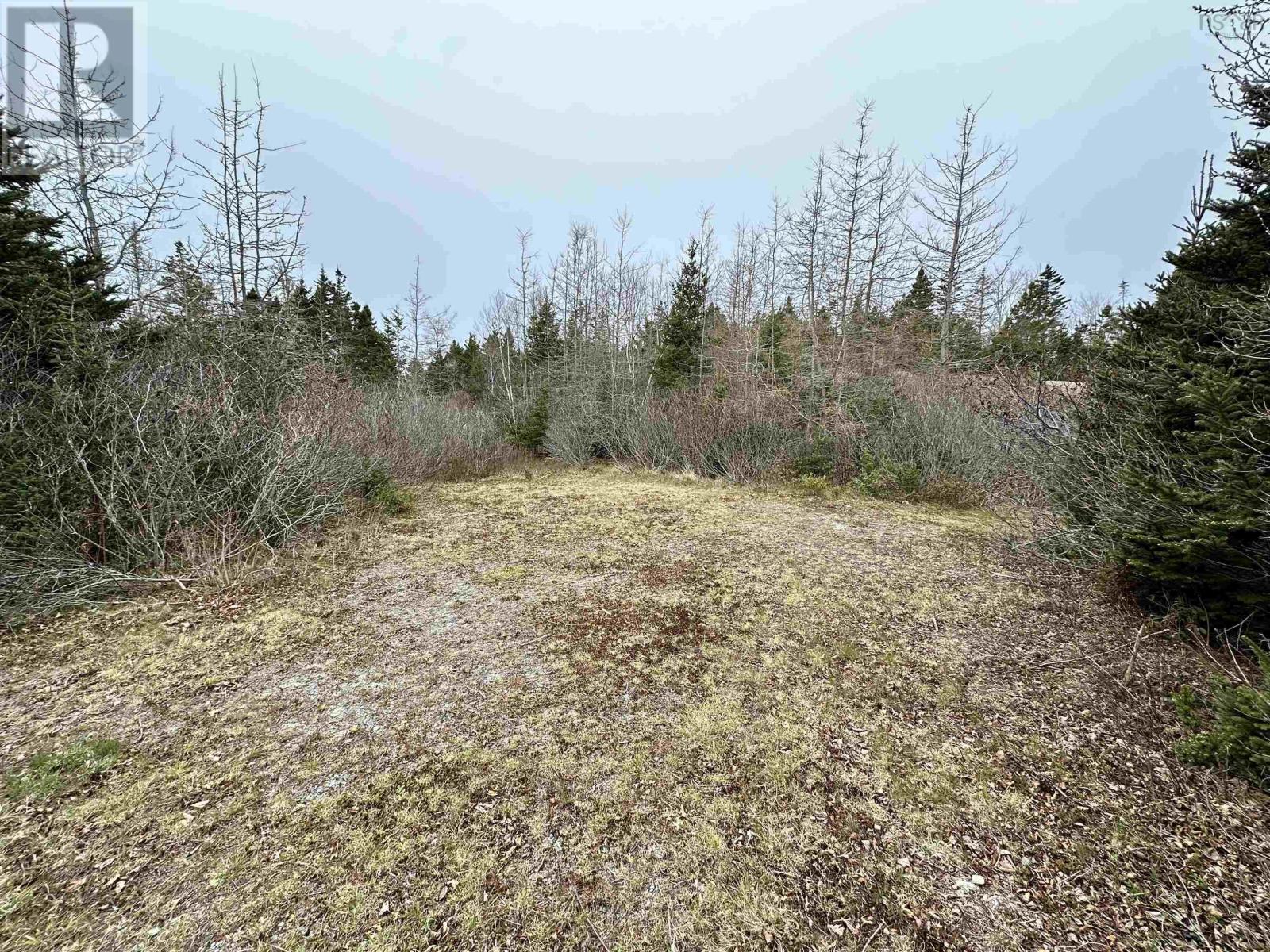 Lot Rem2a Beveridge Road, Melbourne, Nova Scotia  B0W 1B0 - Photo 8 - 202503783