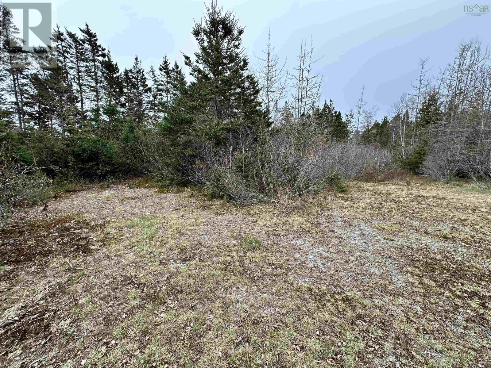 Lot Rem2a Beveridge Road, Melbourne, Nova Scotia  B0W 1B0 - Photo 9 - 202503783