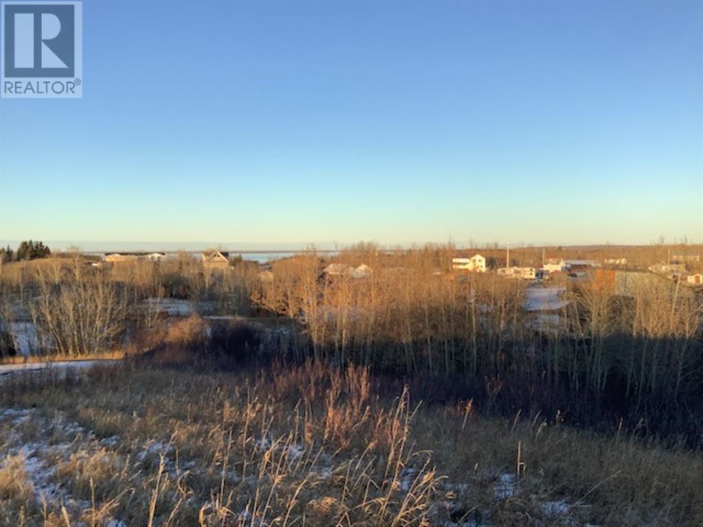 12 Earls Way, White Sands, Alberta  T0C 2L0 - Photo 7 - A1162613