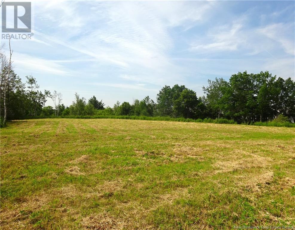 Lot 00-1 Donat Street, Shediac, New Brunswick  E4P 1P9 - Photo 7 - NB113283