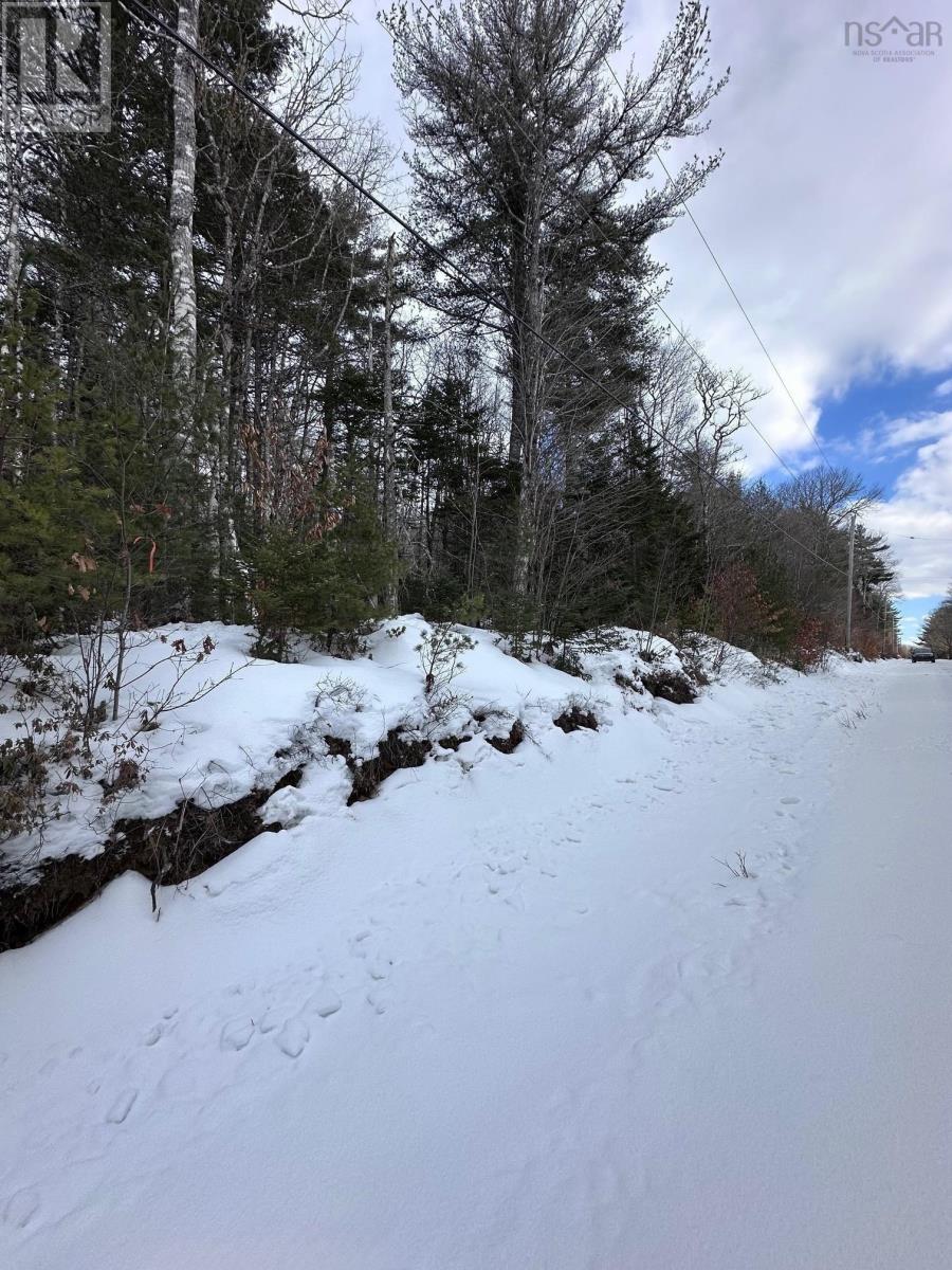 Lot 10 Moose Pit Road, Westfield, Nova Scotia  B0T 1B0 - Photo 16 - 202503801