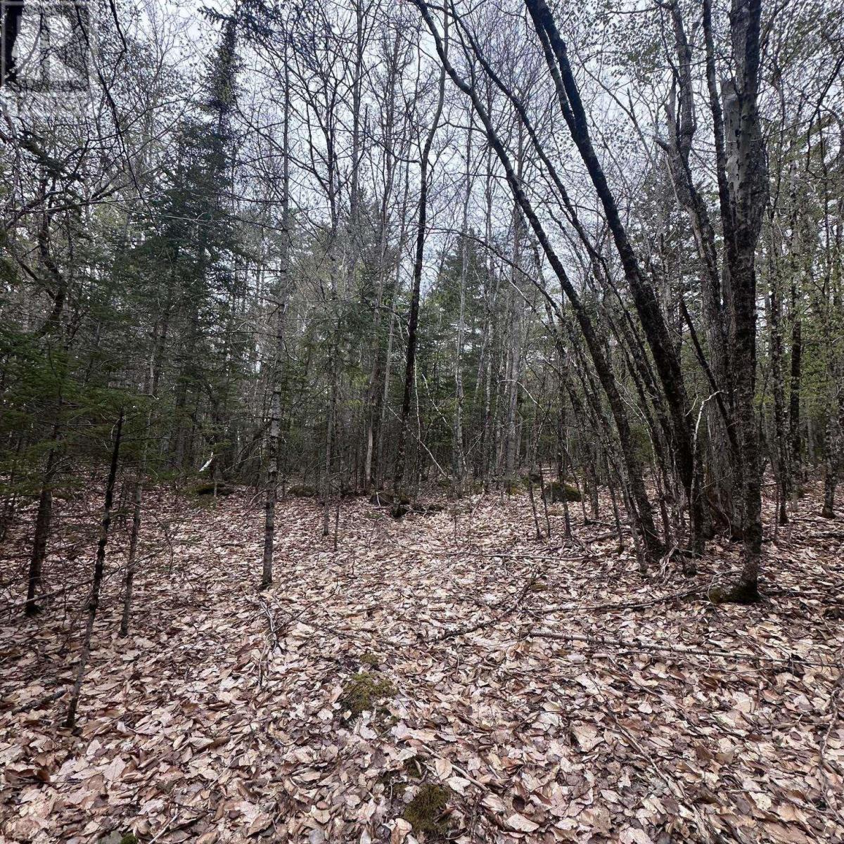 Lot 10 Moose Pit Road, Westfield, Nova Scotia  B0T 1B0 - Photo 2 - 202503801