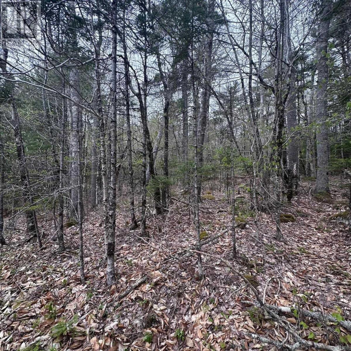 Lot 10 Moose Pit Road, Westfield, Nova Scotia  B0T 1B0 - Photo 3 - 202503801