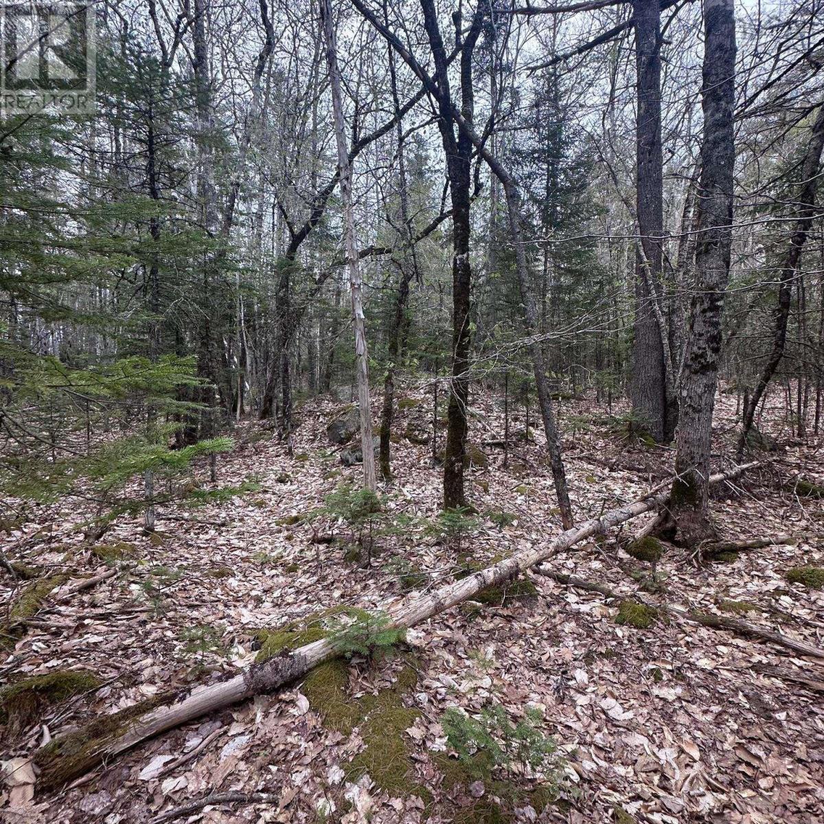 Lot 10 Moose Pit Road, Westfield, Nova Scotia  B0T 1B0 - Photo 4 - 202503801