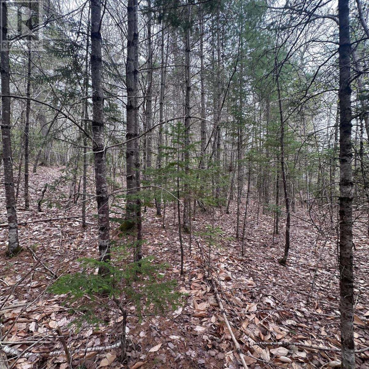 Lot 10 Moose Pit Road, Westfield, Nova Scotia  B0T 1B0 - Photo 5 - 202503801