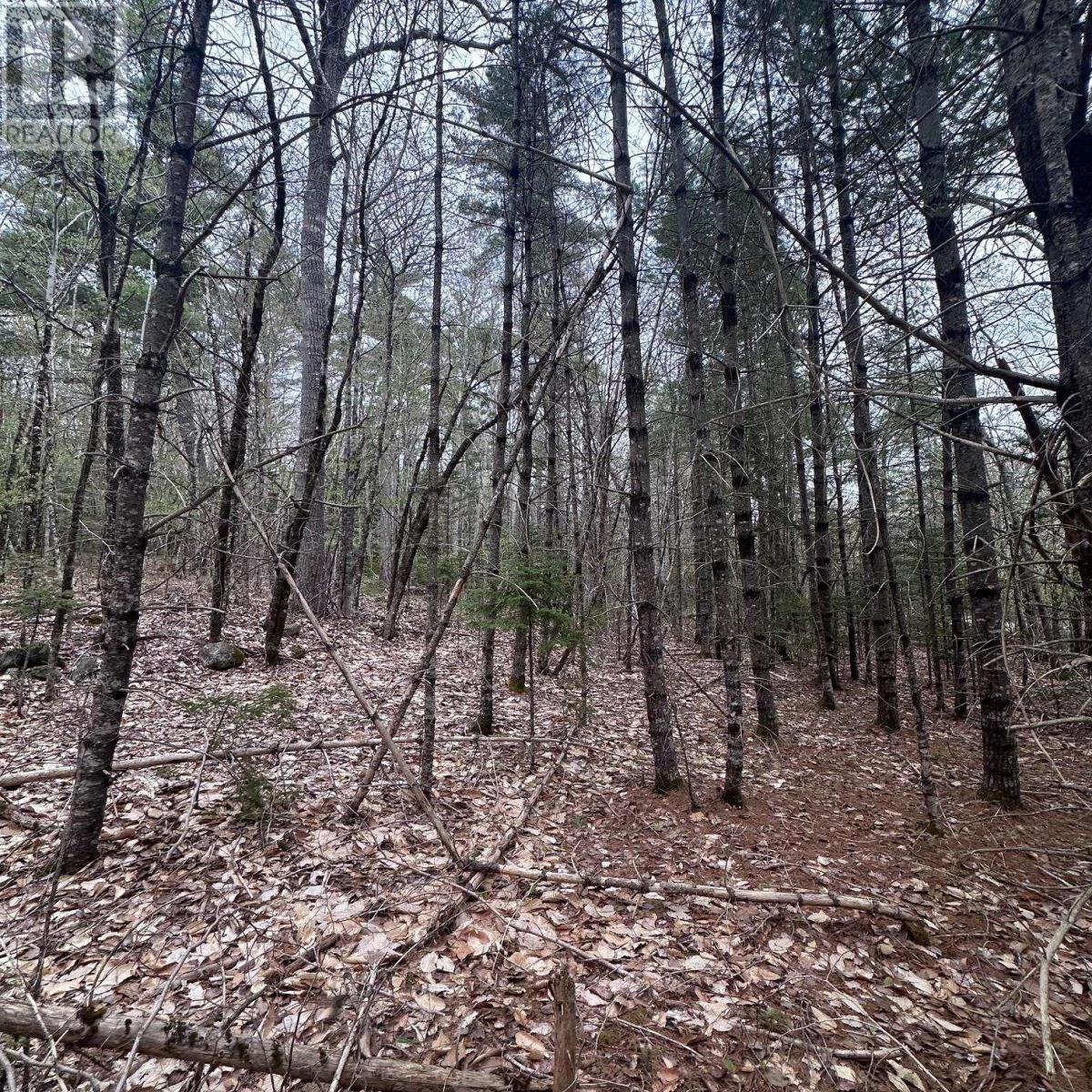 Lot 10 Moose Pit Road, Westfield, Nova Scotia  B0T 1B0 - Photo 7 - 202503801