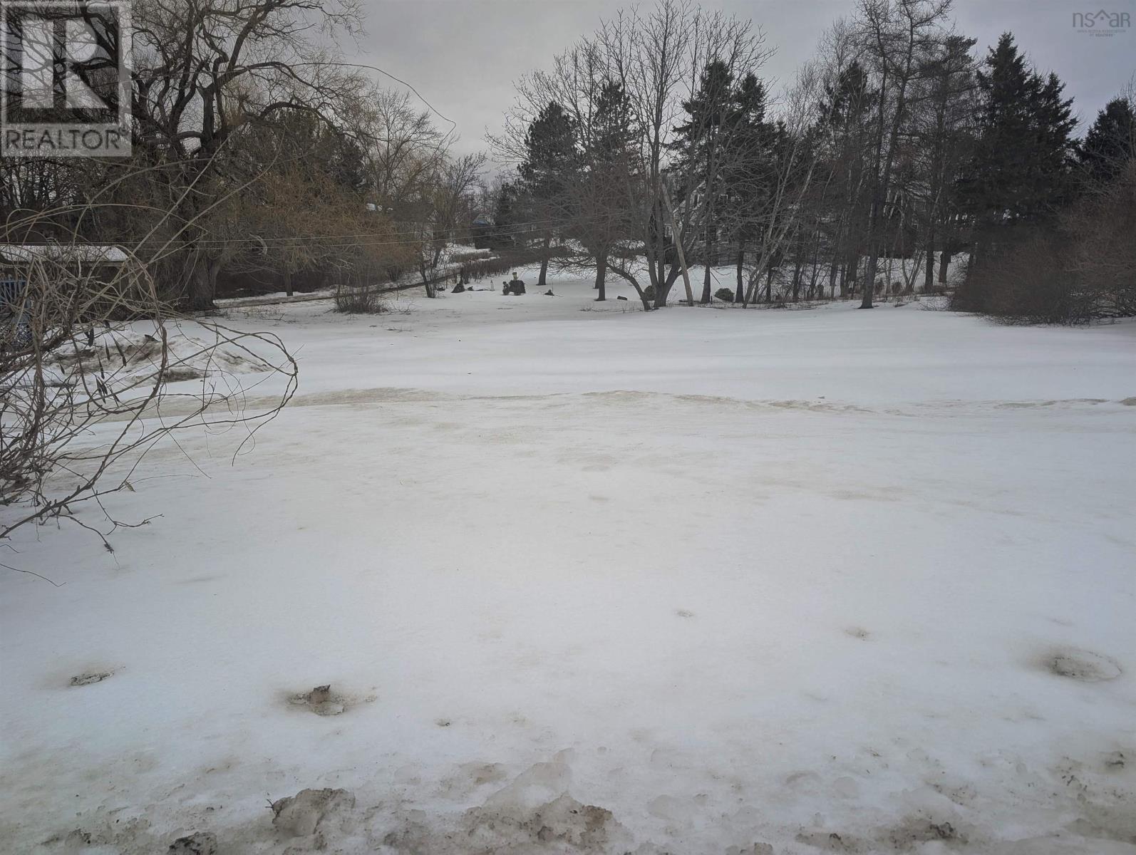 183 Gaspereau Avenue, Wolfville, Nova Scotia  B4P 2E5 - Photo 2 - 202503806