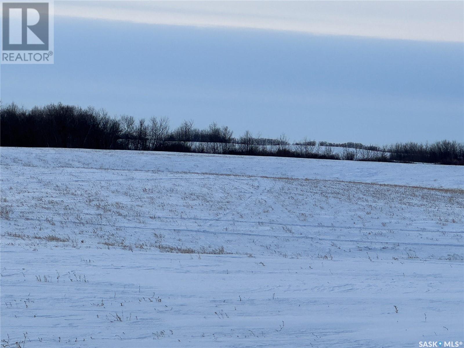 80 Acres South Of Greenbryre #1 North Half, Corman Park Rm No. 344, Saskatchewan  S7V 0L2 - Photo 2 - SK996392