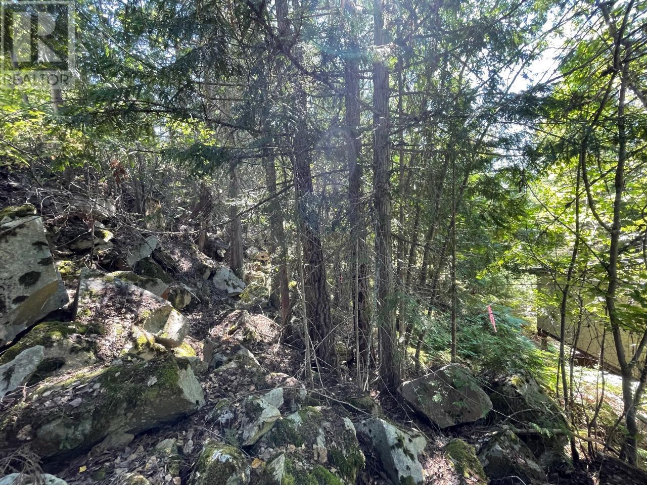 237 Rainbow Ridge Road, Procter, British Columbia  V1L 0B6 - Photo 8 - 10336942