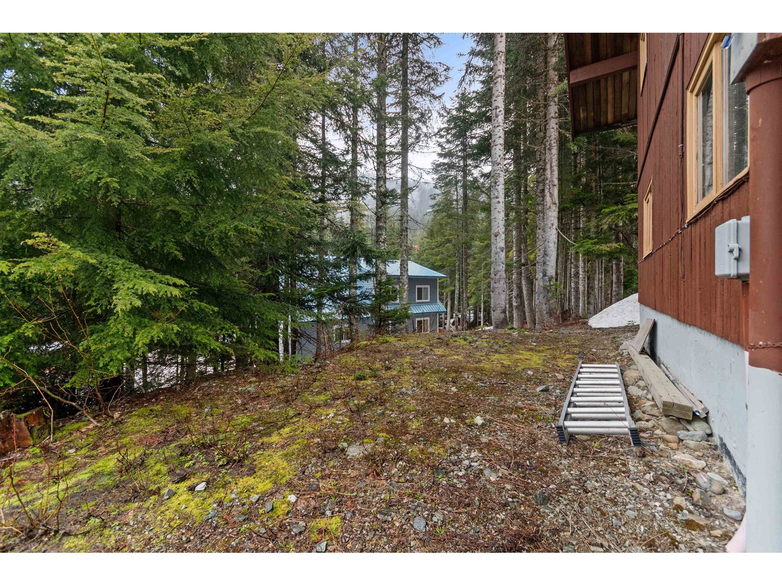 20805 Mt Downing Road, Mission, British Columbia  V0M 1A1 - Photo 36 - R2971672