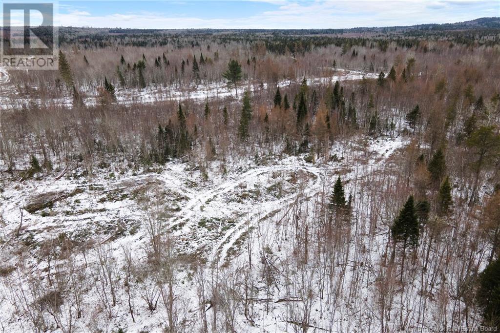 Lot 24-1 Cumberland Bay South Road, Cumberland Bay, New Brunswick  O0O 0O0 - Photo 16 - NB112403