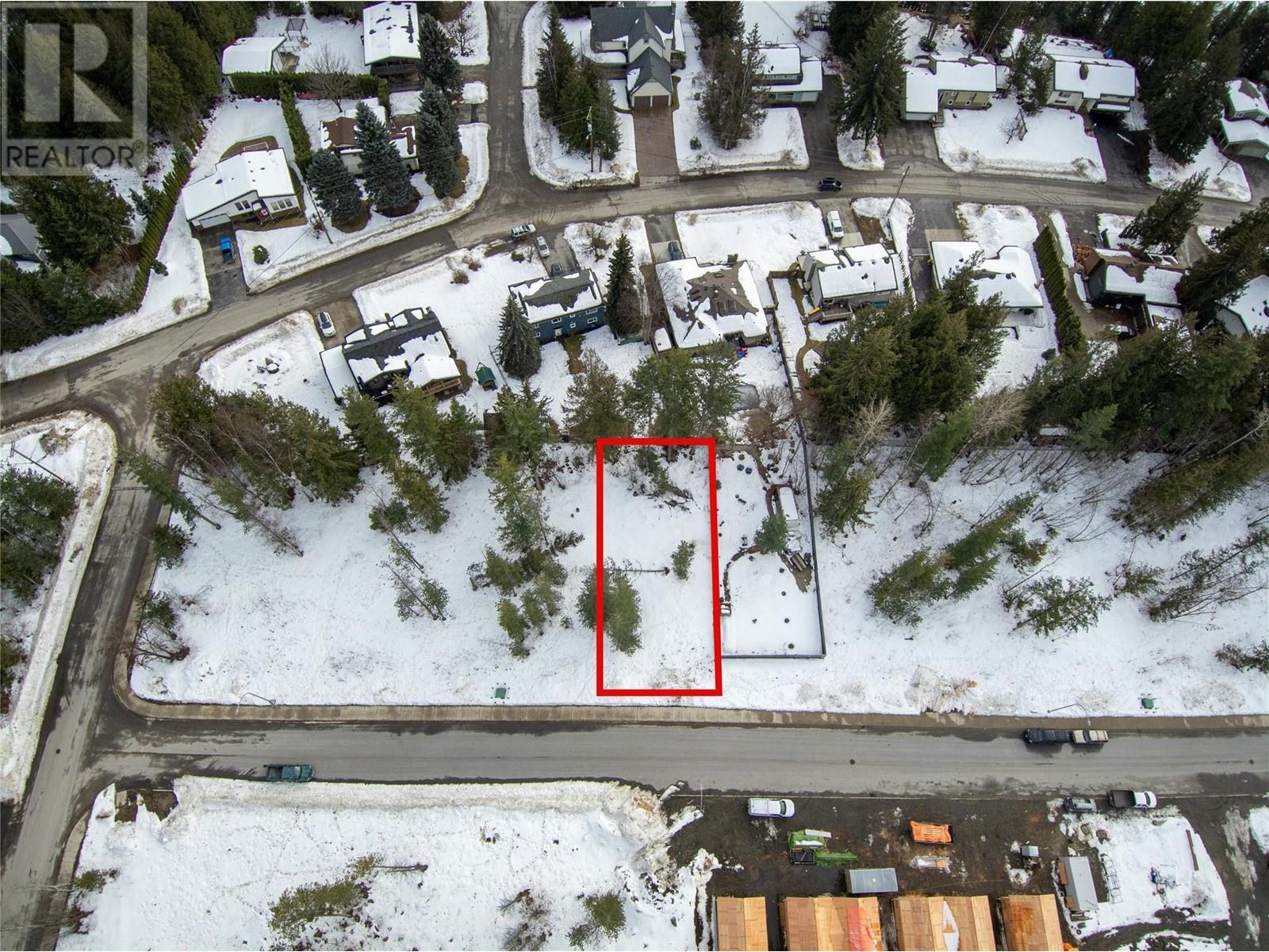 1037 Williams Gate Lane, Revelstoke, British Columbia  V0E 2S1 - Photo 5 - 10336907
