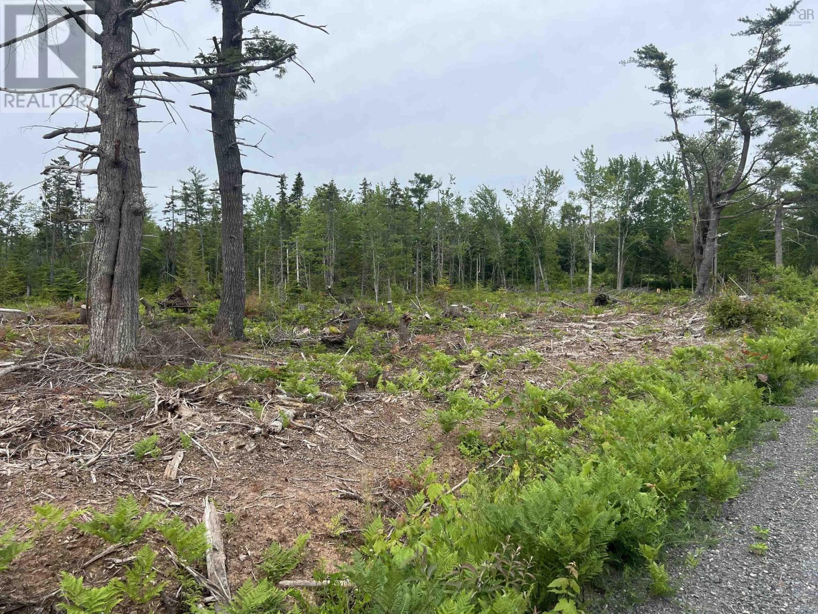 2 Priests Road, central caribou, Nova Scotia