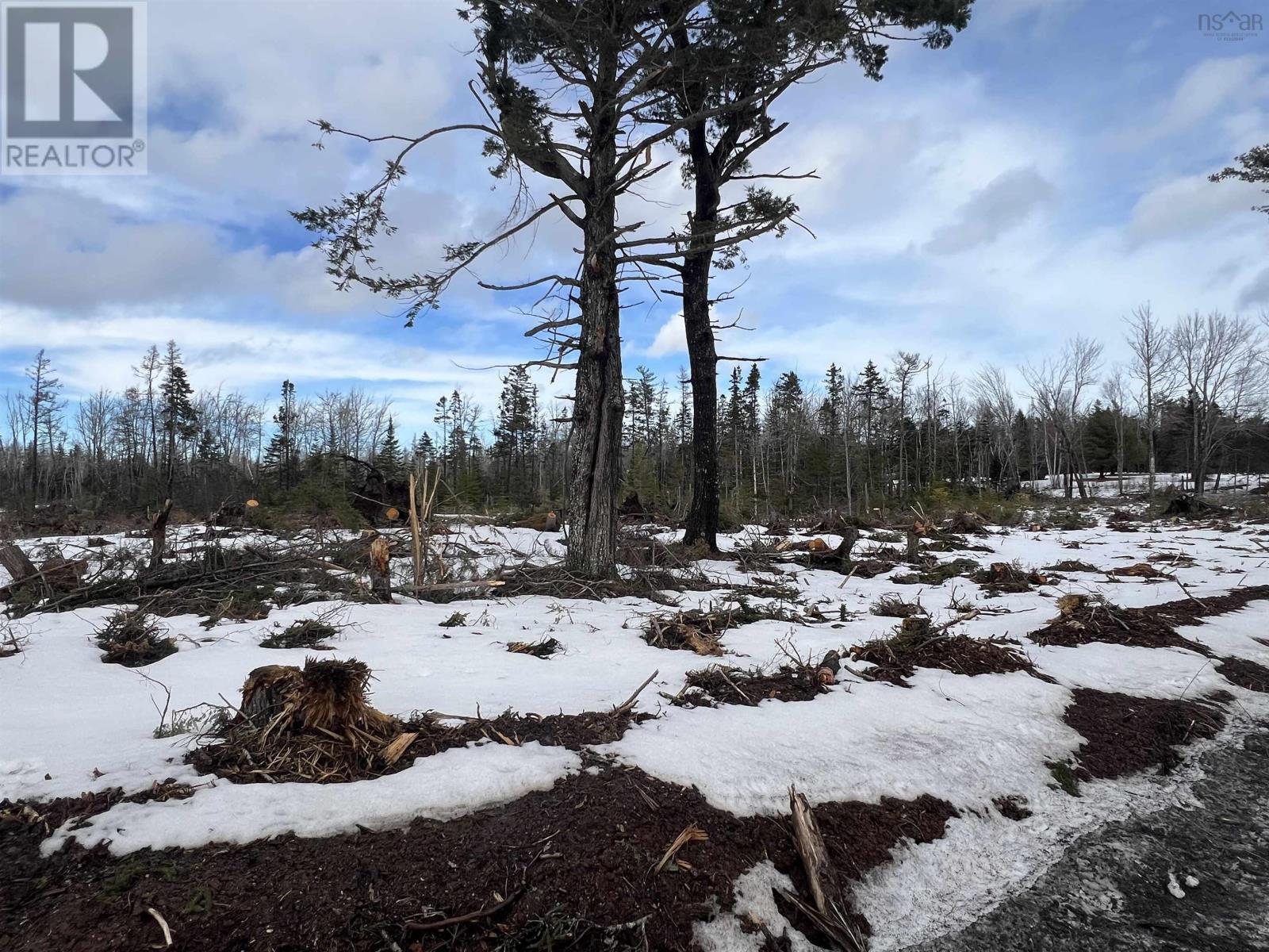2 Priests Road, Central Caribou, Nova Scotia  B0K 1H0 - Photo 4 - 202503843