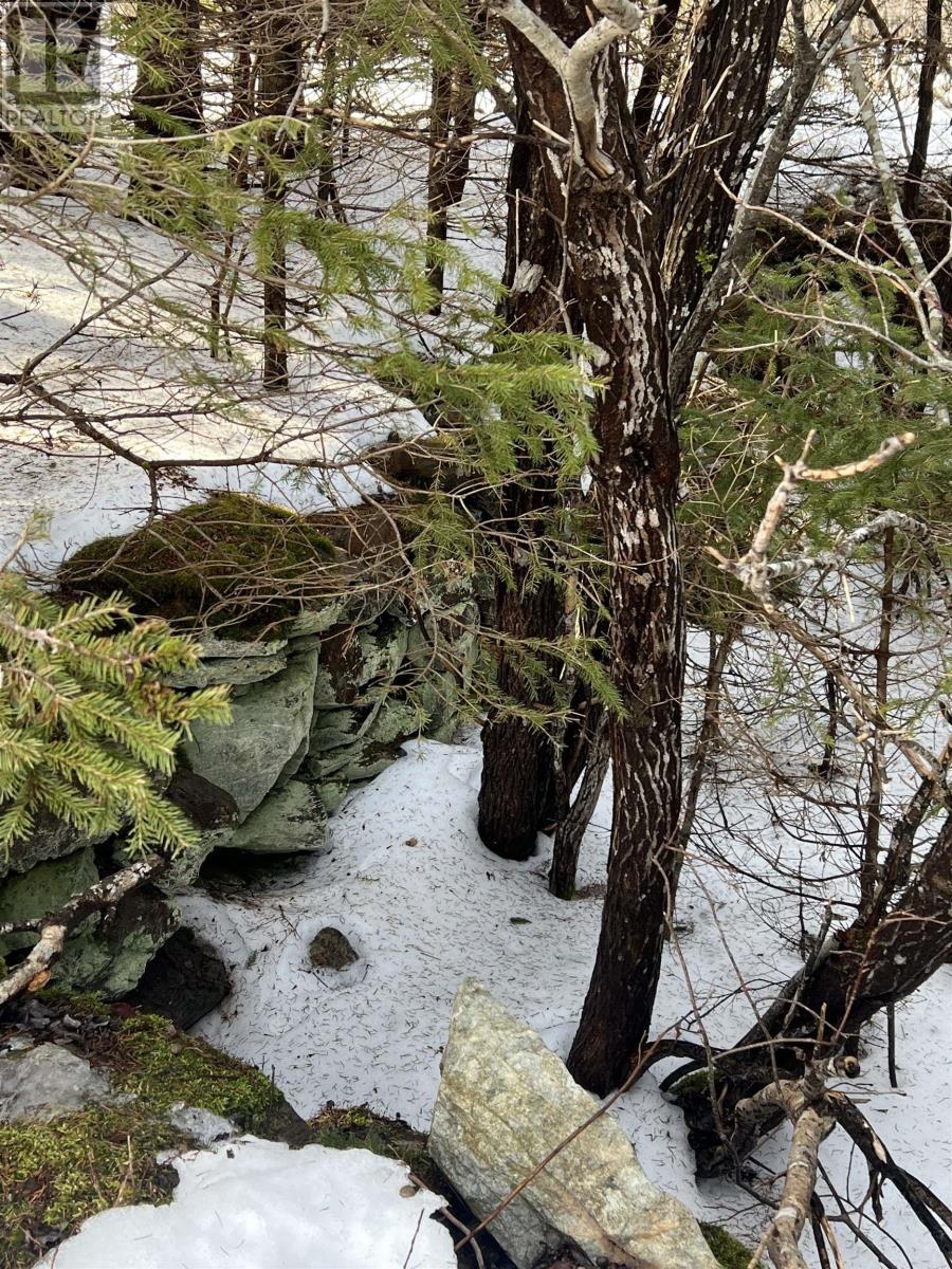 4060 Sherbrooke Road, Garden Of Eden, Nova Scotia  B2H 5C8 - Photo 7 - 202503844