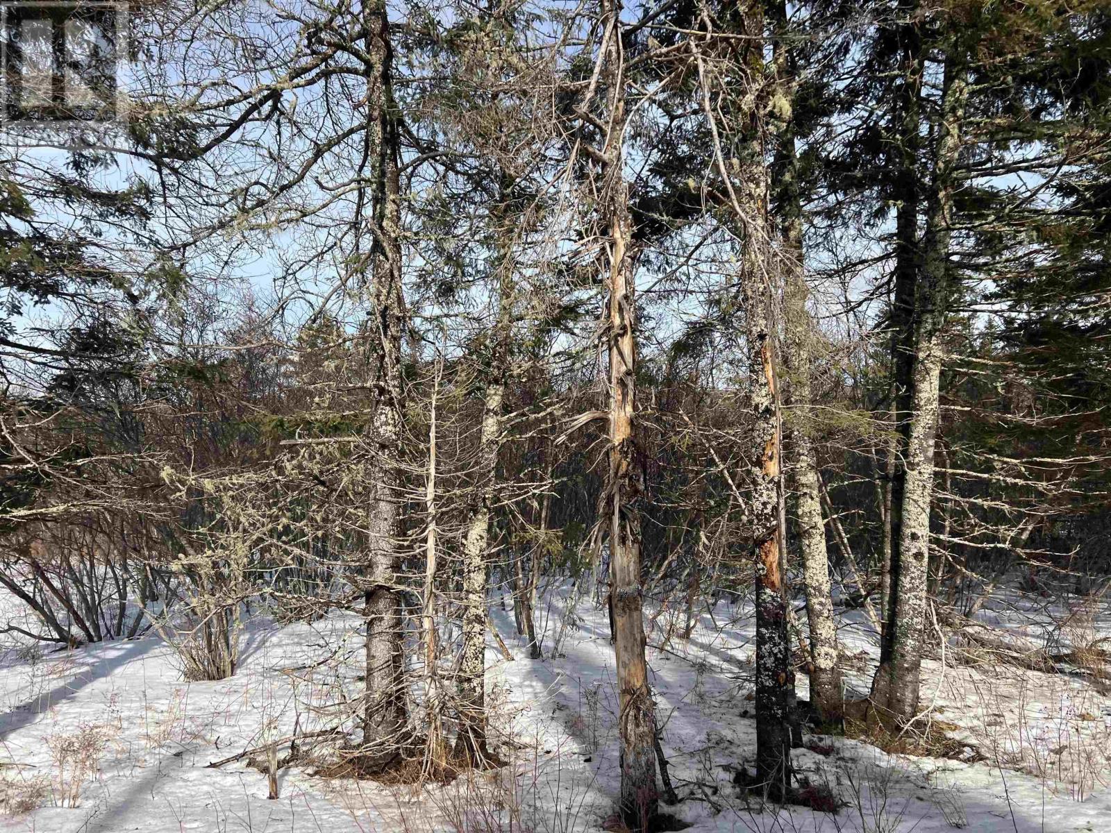 4060 Sherbrooke Road, Garden Of Eden, Nova Scotia  B2H 5C8 - Photo 8 - 202503844