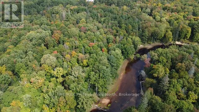304 Old North Road, Huntsville, Ontario  P1H 2J4 - Photo 16 - X11993776